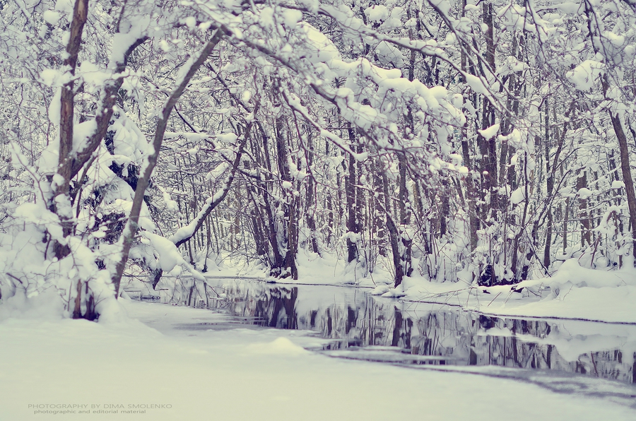 п.Сосново 26.01.2014.