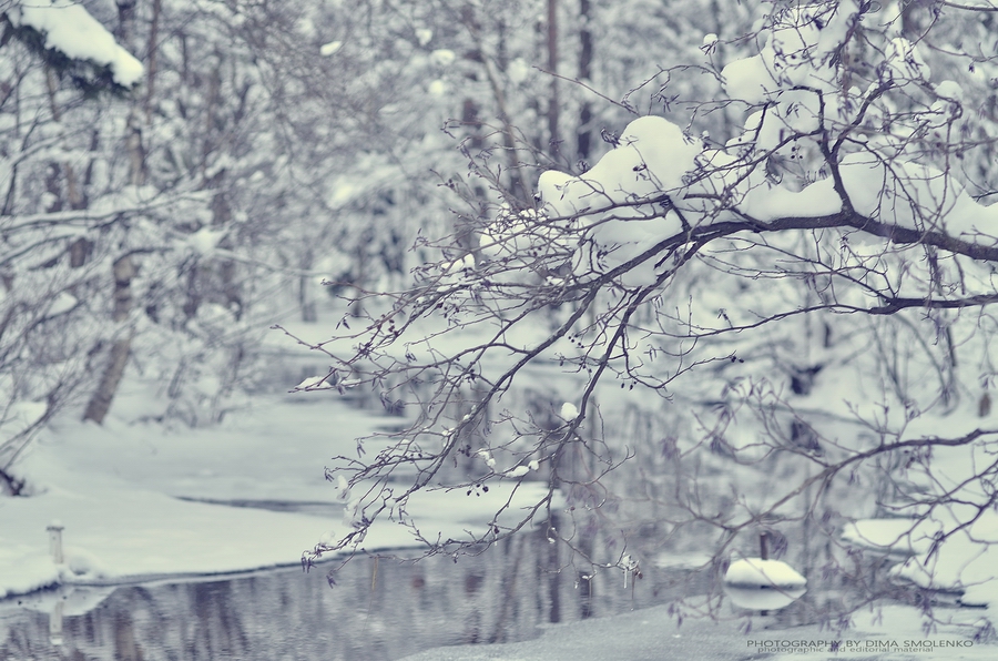 п.Сосново 26.01.2014.