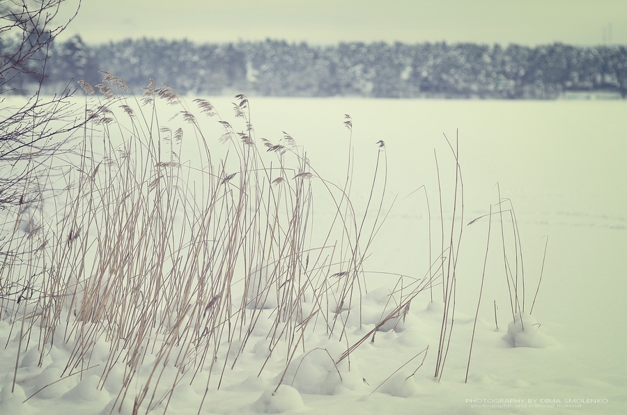 п.Сосново 26.01.2014.